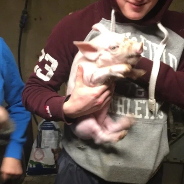 Ag Science Pig Farm Visit