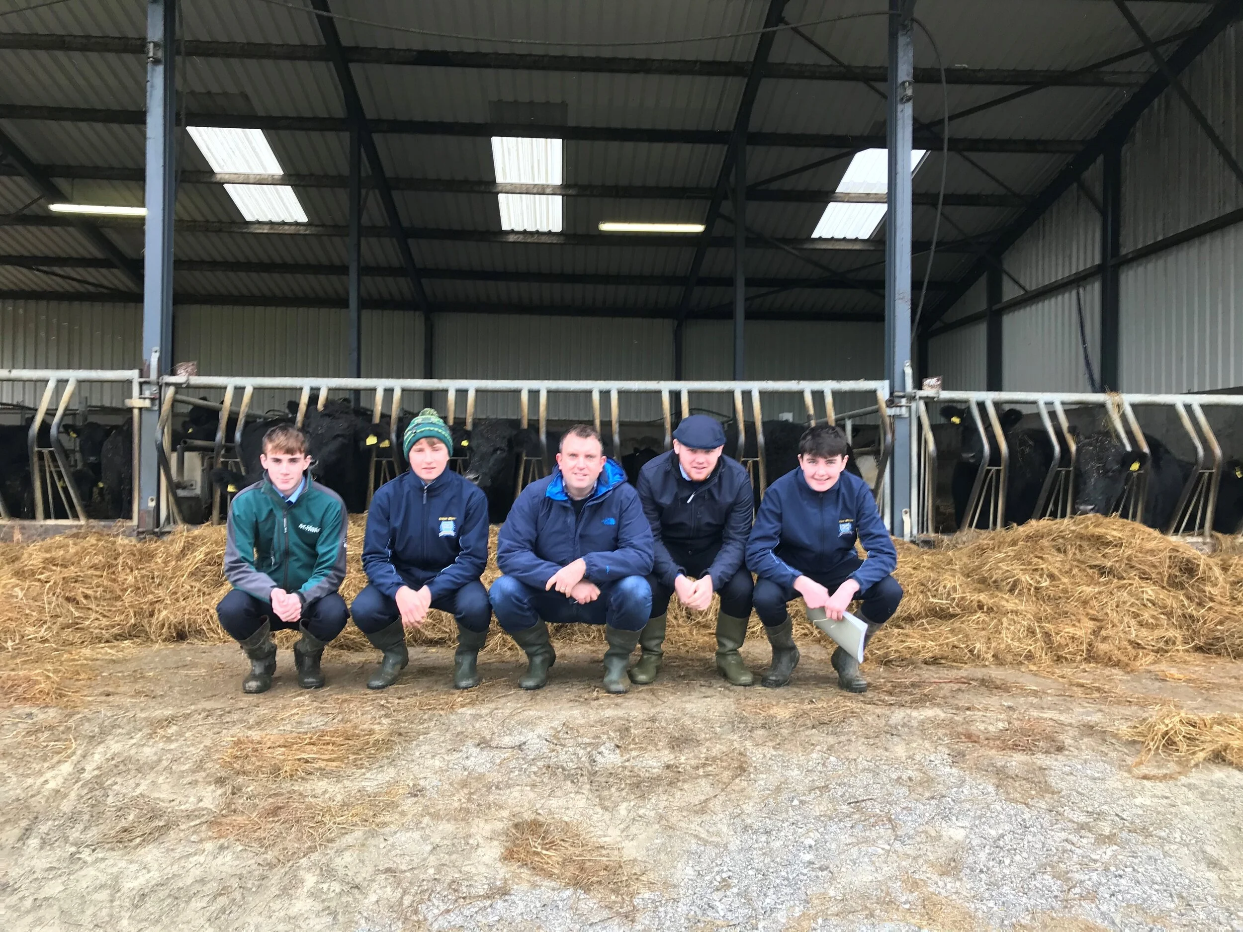 Certified Irish Angus Schools Competition