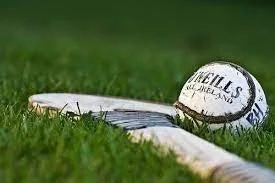 Senior Hurlers Win