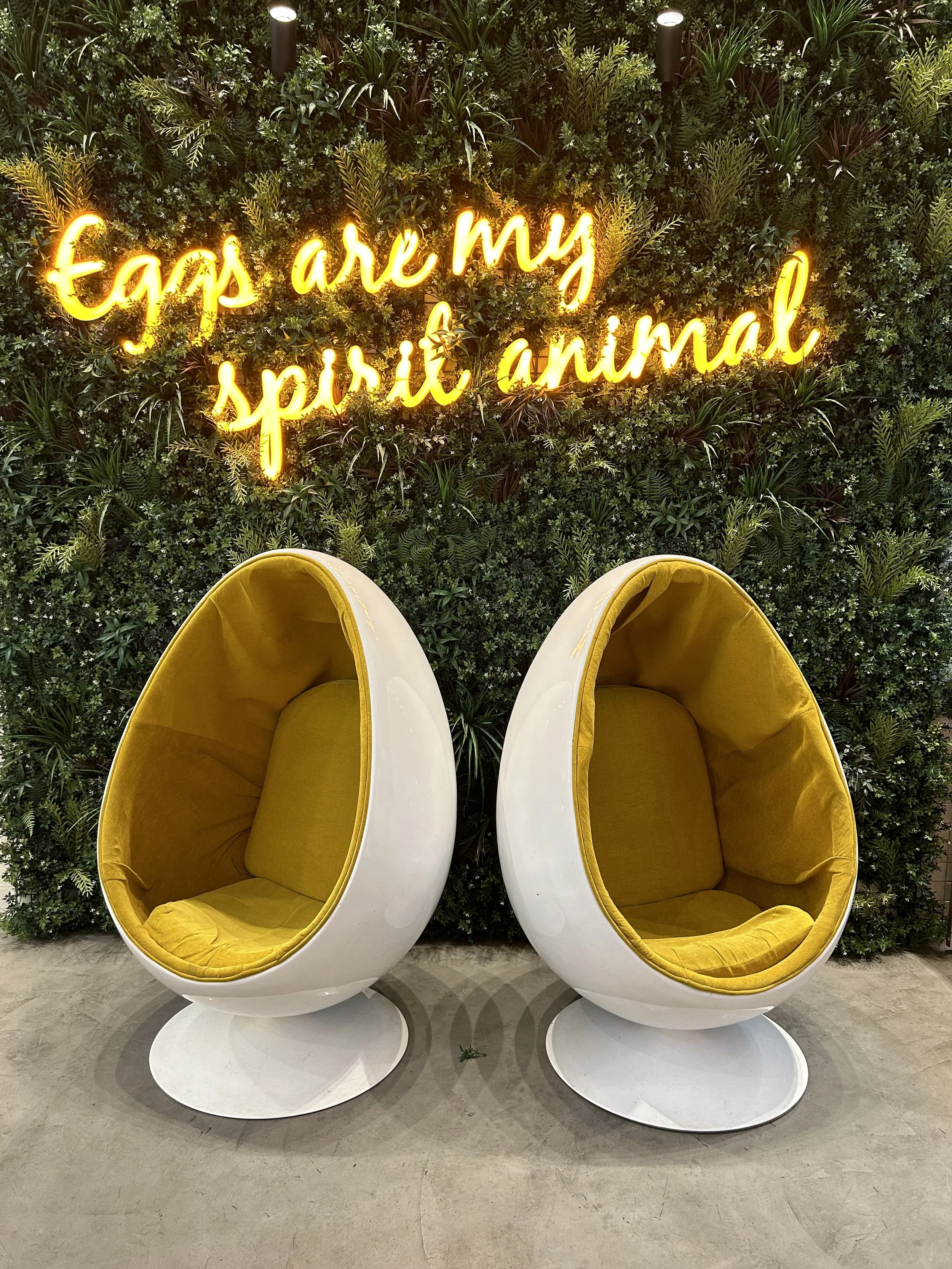  Egg Run designed by Brace Studio