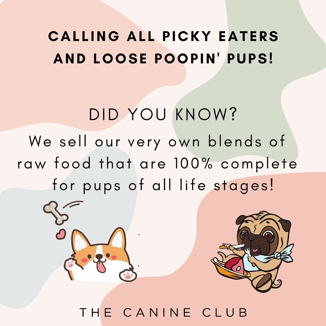 Got yourself a loose poopin pup? We&rsquo;ve got a solution for you! RAW FOOD! RAW FOOD! READ ALL ABOUT IT! 🥩🍖
.
To calculate your dogs portion and cost, visit our website and check out our raw food calculator! Our goal is to make raw food accessib