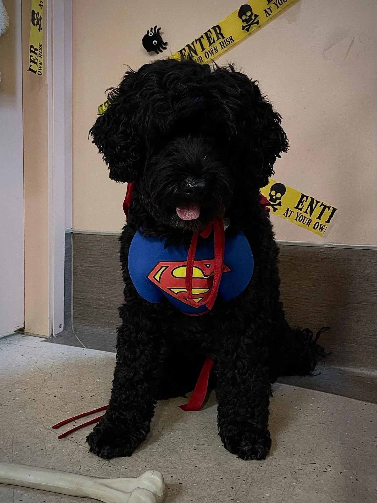 Capri and Mila cosplaying two mighty hero&rsquo;s! Superman and her sister Thor (who wasn&rsquo;t so eager to take on the responsibility as earths mightiest defender) 👯&zwj;♀️🎀