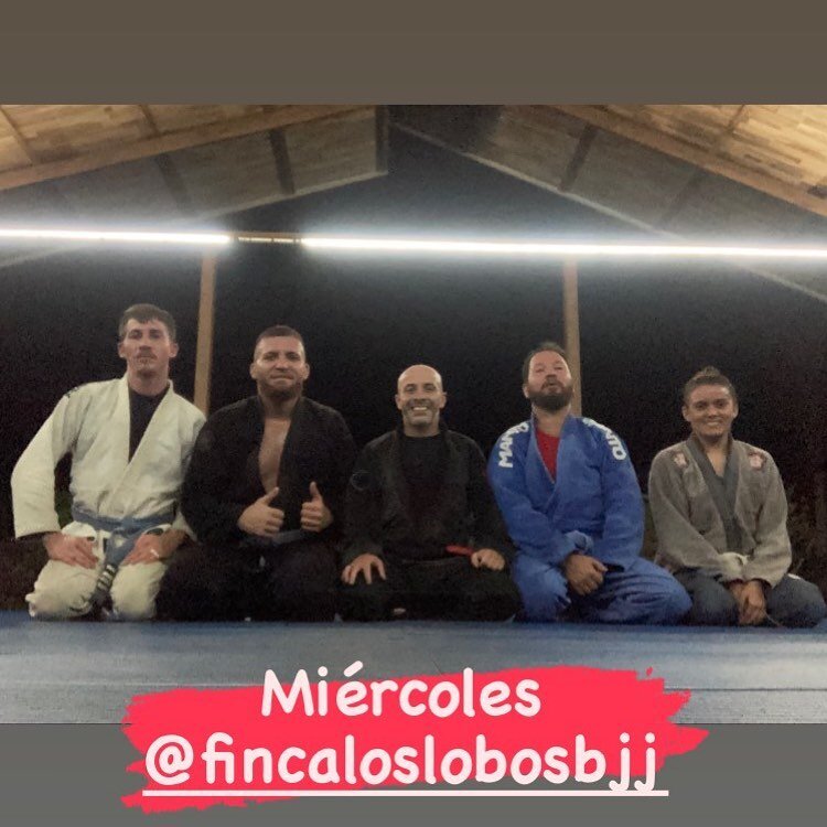 Wednesday work @fincaloslobosbjj 🔥