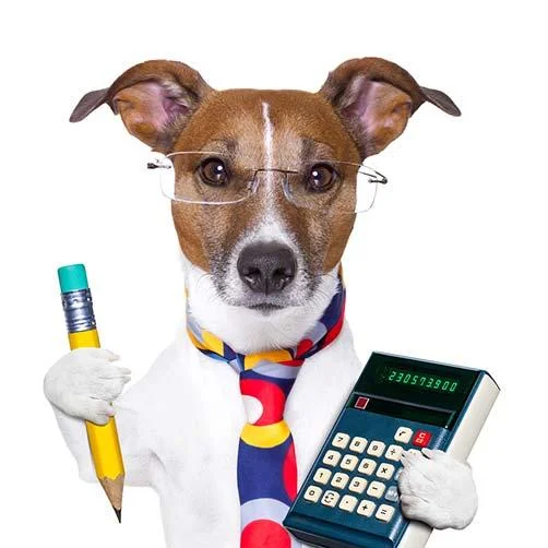 cpa dog.jpg