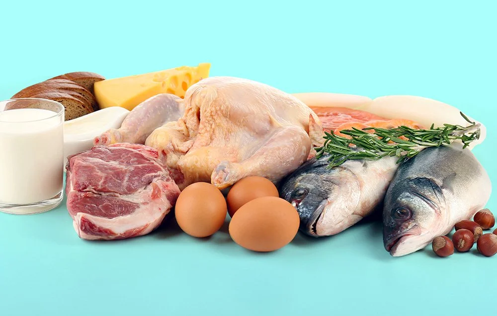 Is a high protein diet good for you?