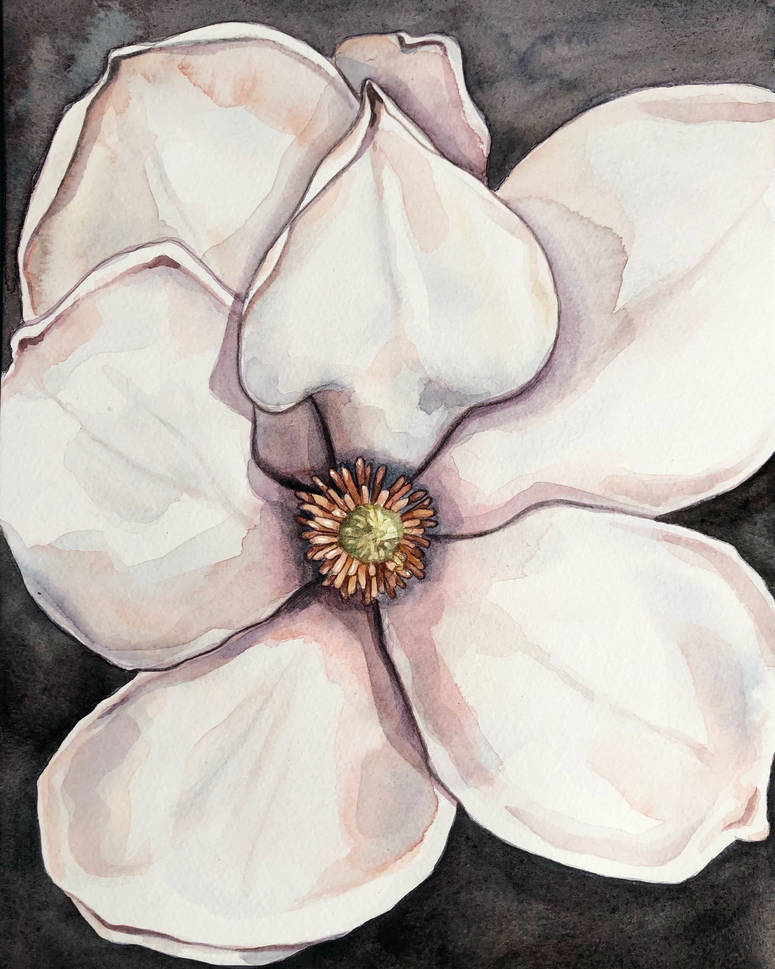 Dark Magnolia