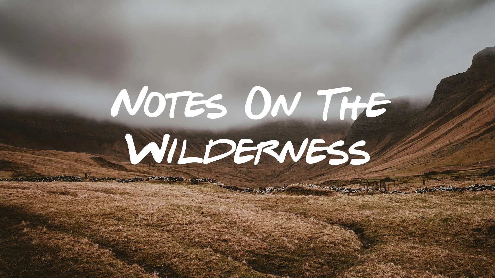 Notes on the Wilderness