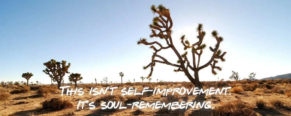 AM-Header1-soulremembering.jpg