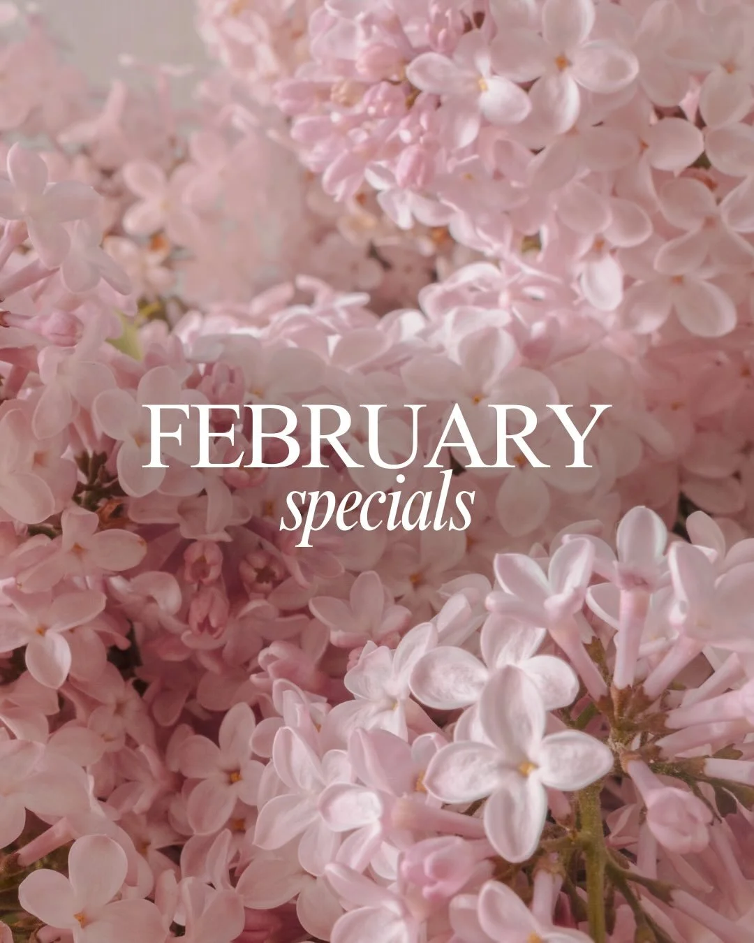 February Specials 💕

This Valentine&rsquo;s season, fall in love with your skin. Whether you&rsquo;re treating yourself or planning a little self-care glow-up, our specials are designed to refresh, enhance, and restore.

💧 SkinVive &mdash; 3 syring