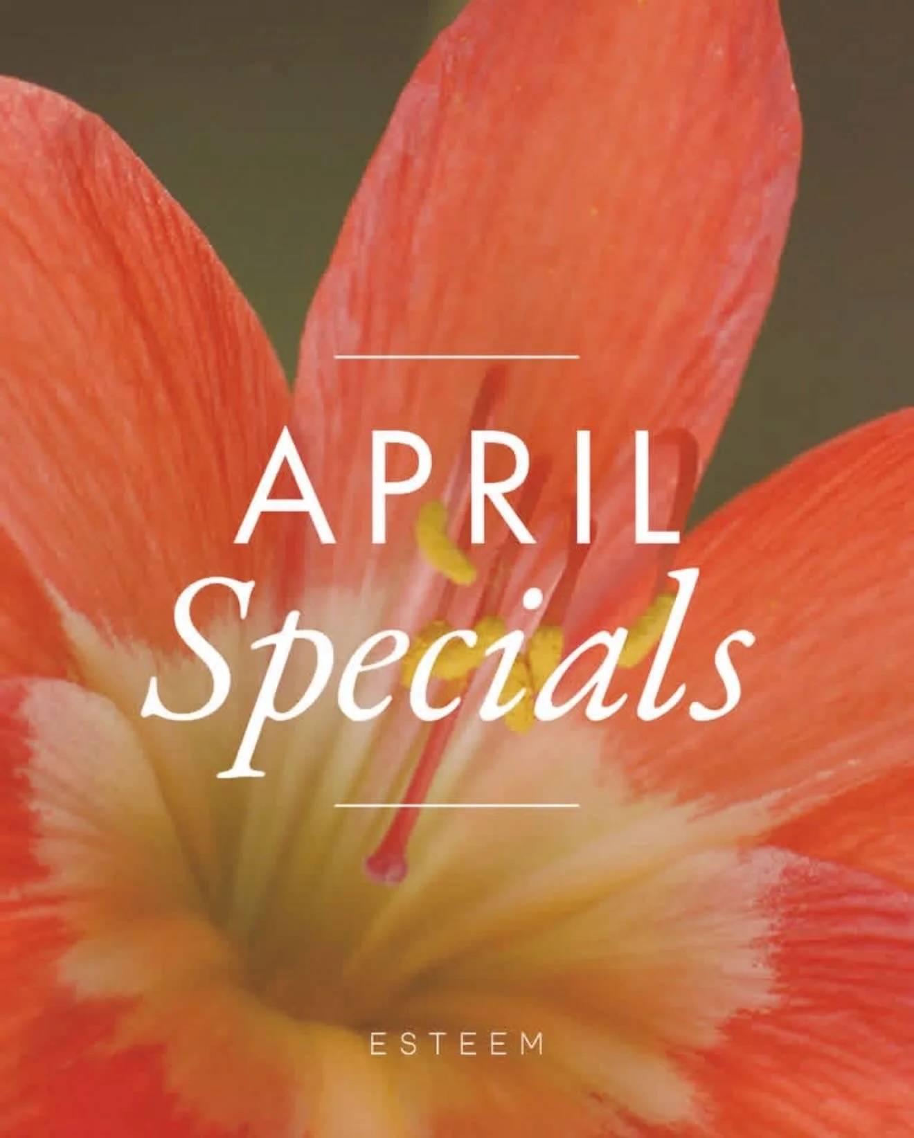 April Specials are here! ✨ 

We have some amazing deals this month! There&rsquo;s something for everyone. Don&rsquo;t miss out!

💫 SkinCeuticals Golden Ticket: Purchase a bottle of C E Ferulic 30ml for your chance to win a &ldquo;golden ticket&rdquo