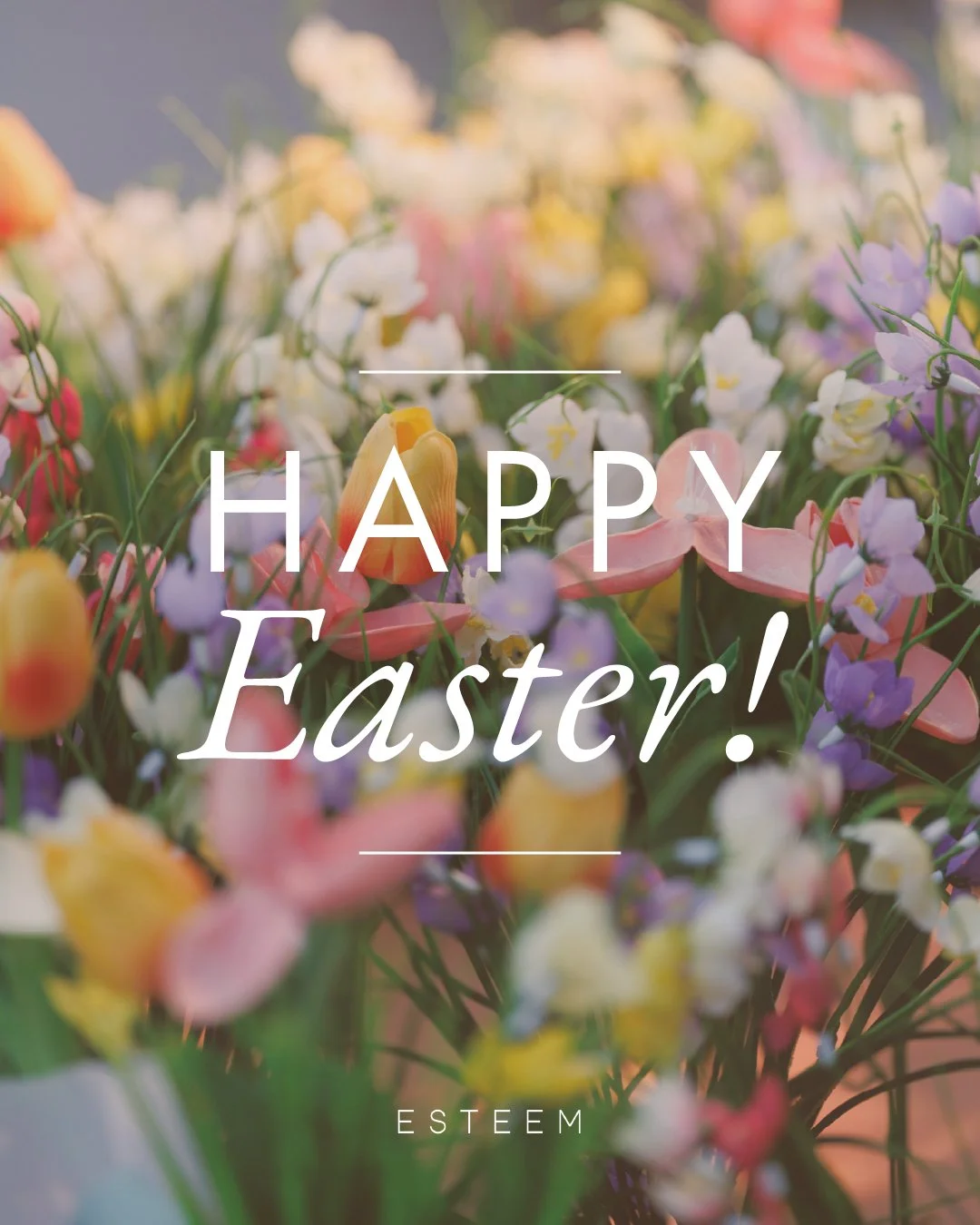 Wishing our amazing clients a beautiful Easter Sunday filled with joy, family, and a little extra radiance.