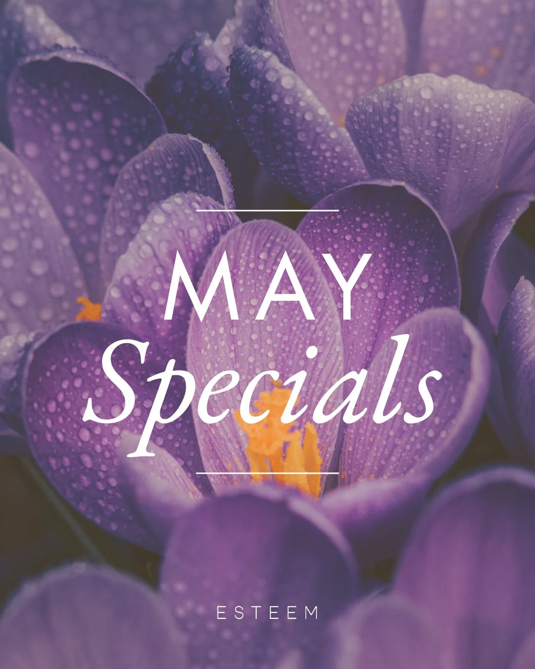 May Specials! 🌸 Mother's Day is around the corner, treat your mom to the skin care she deserves!

💫10% off Gift Cards May 6th-9th

✨Add VAMP to select treatments for only $50

🌟 15% off all Colorescience

 💖 10% off OxyGeneo Facials
_____________