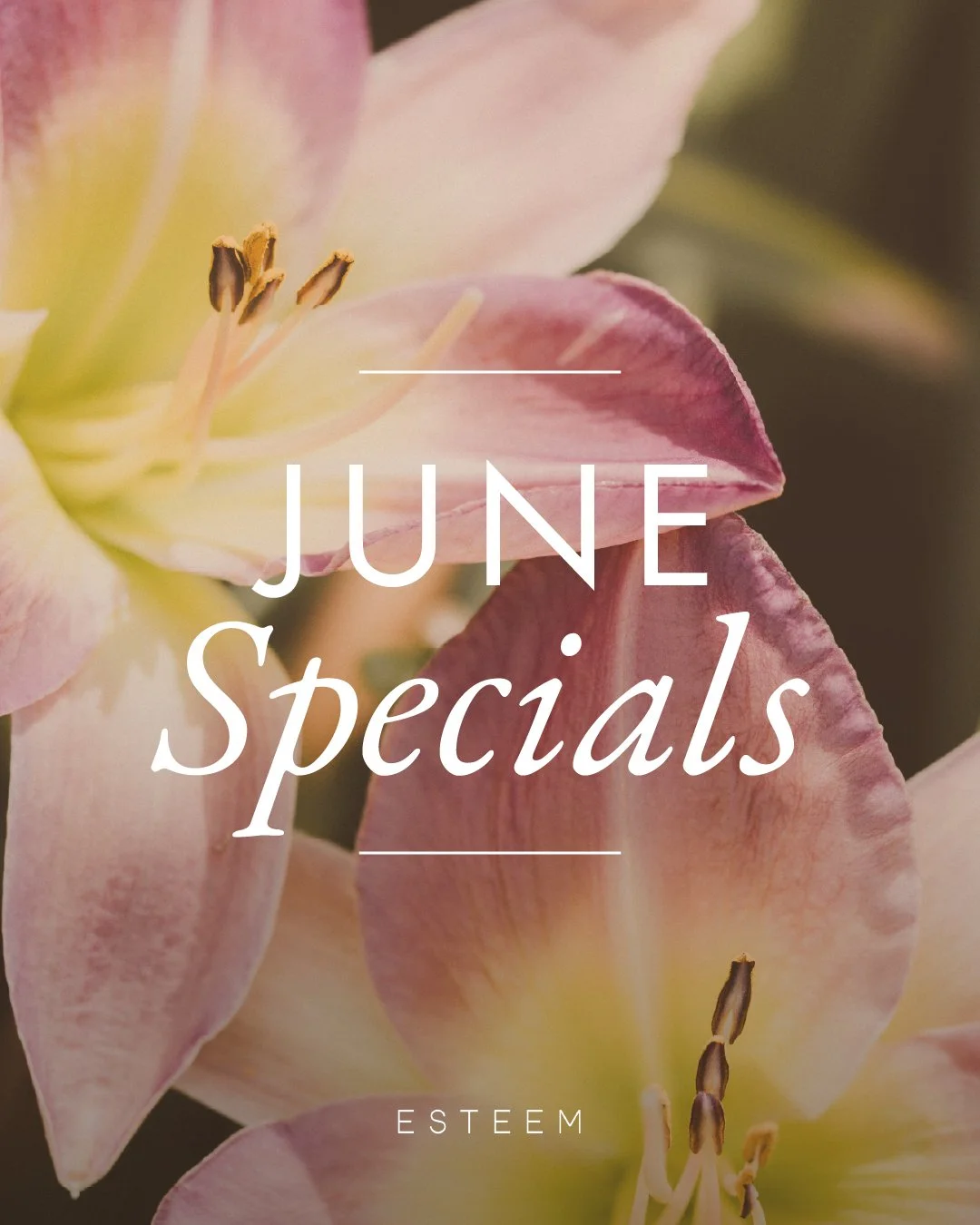 June Specials!🌻Summer is nearly here! We have some great specials this month to help you get ready for the season:
 
20% off GLO Make-Up
Make-Up Application for $75
10% off Hollywood Glow
15% off Sunscreen products
______________________
 
TECUMSEH
