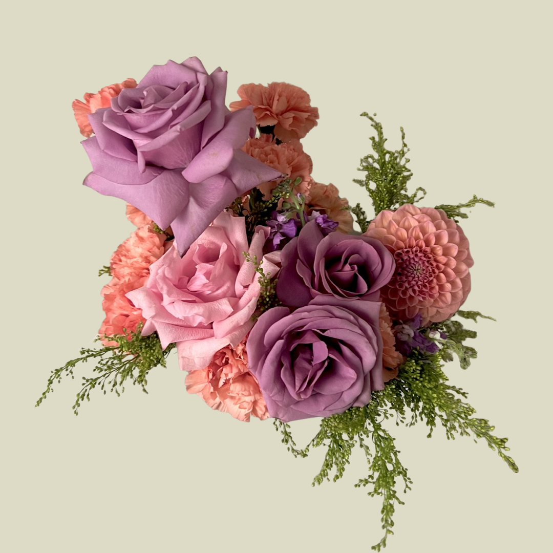 IMG_7514.PNG