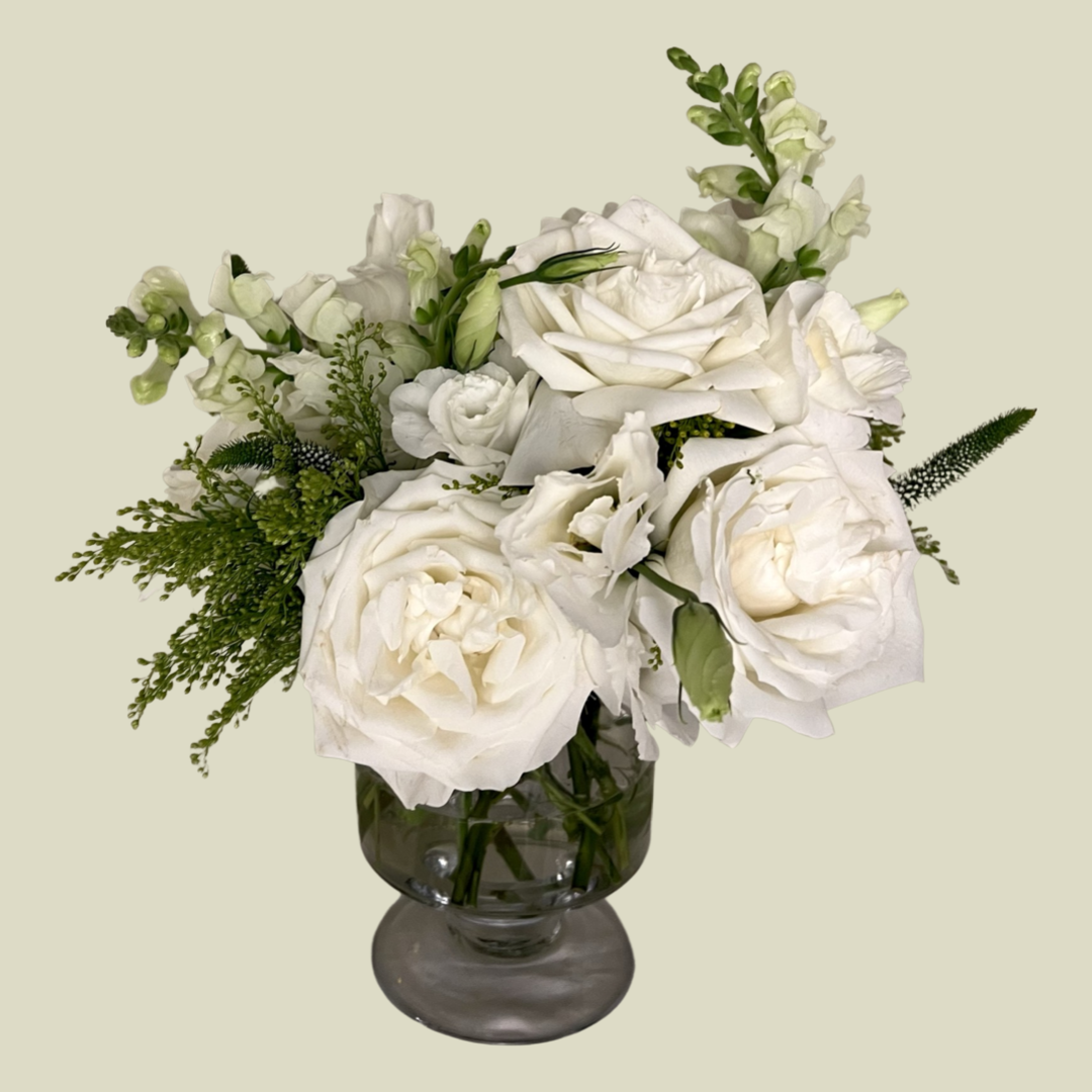 IMG_7534.PNG