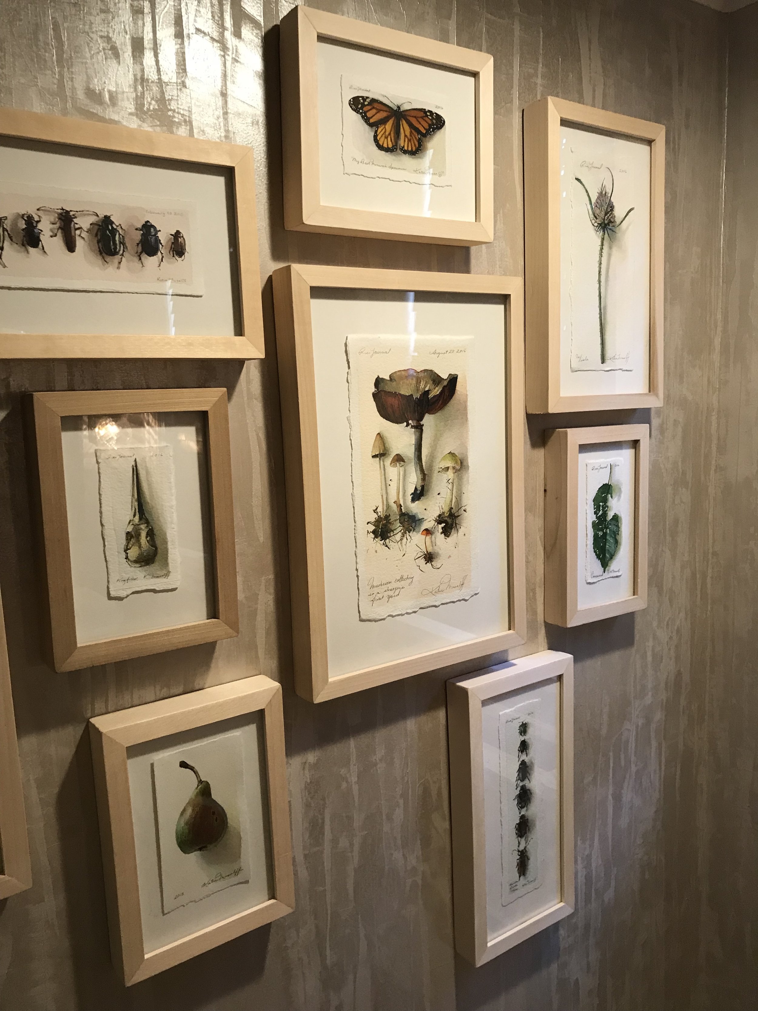 PearlescentPlaster_InsectGalleryWall.jpg