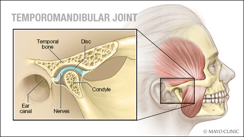 a-medical-illustration-of-a-temporomandibular-joint-original.jpg