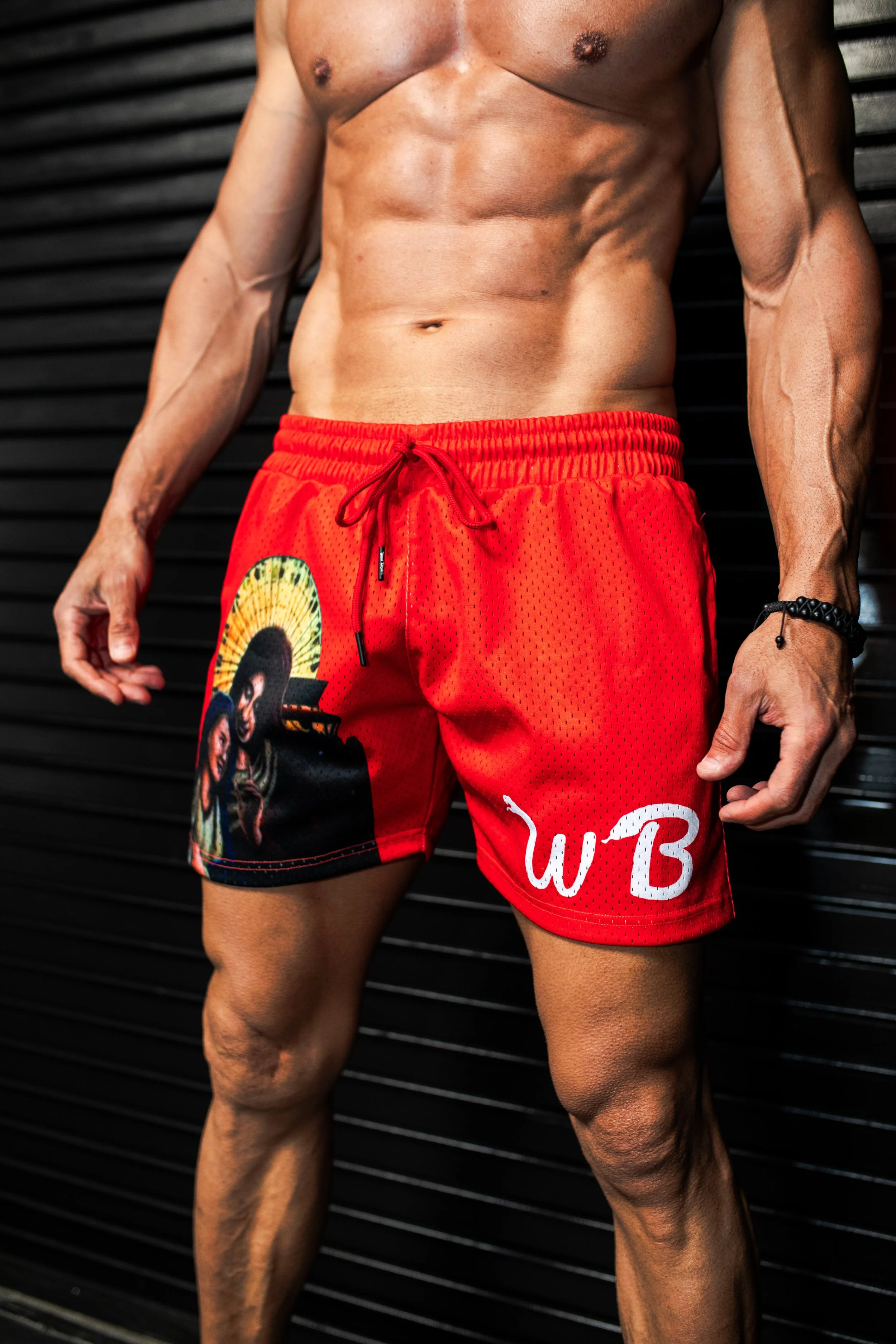 5 Inch Mesh Shorts