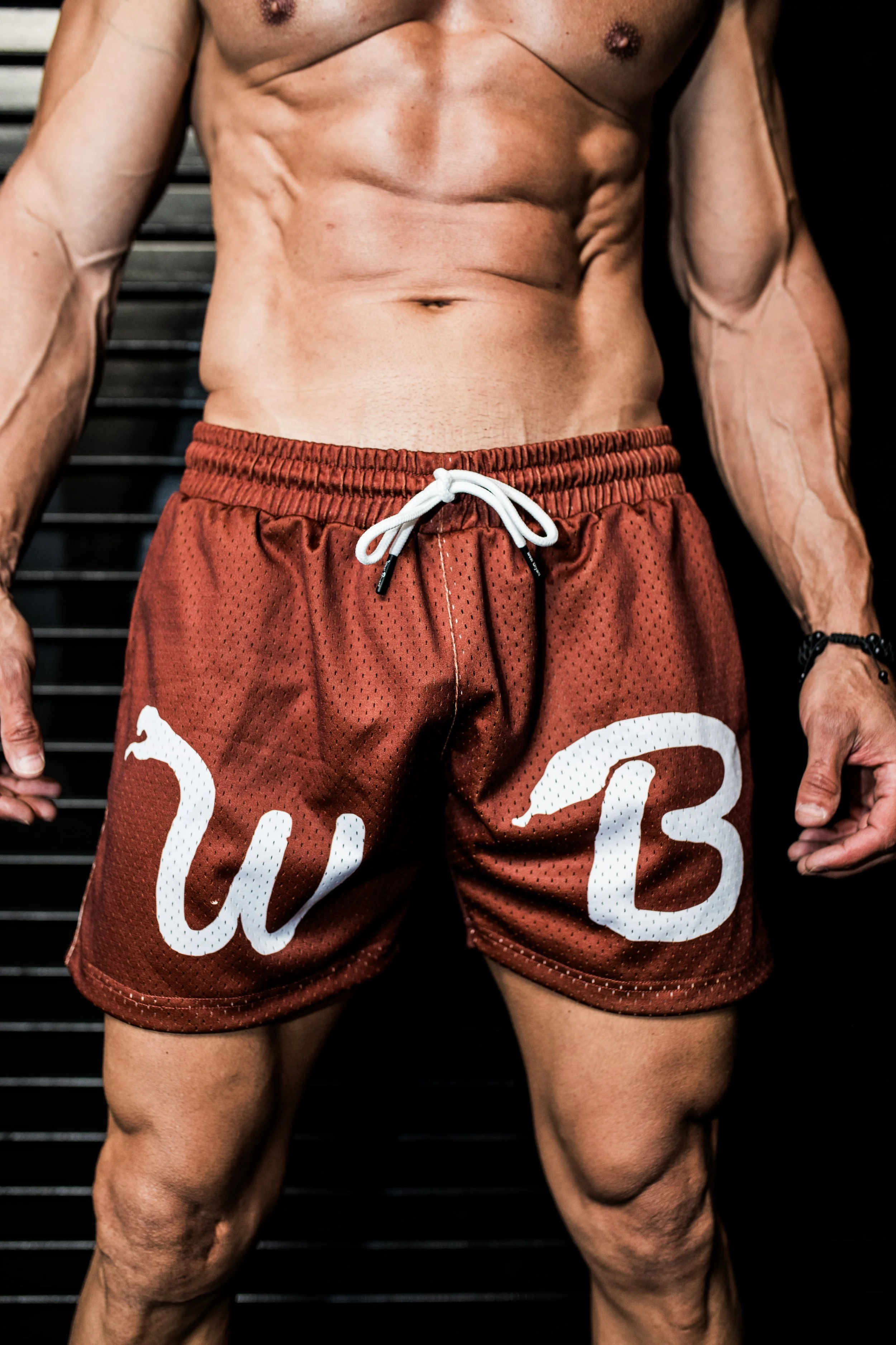 5 Inch Mesh Shorts