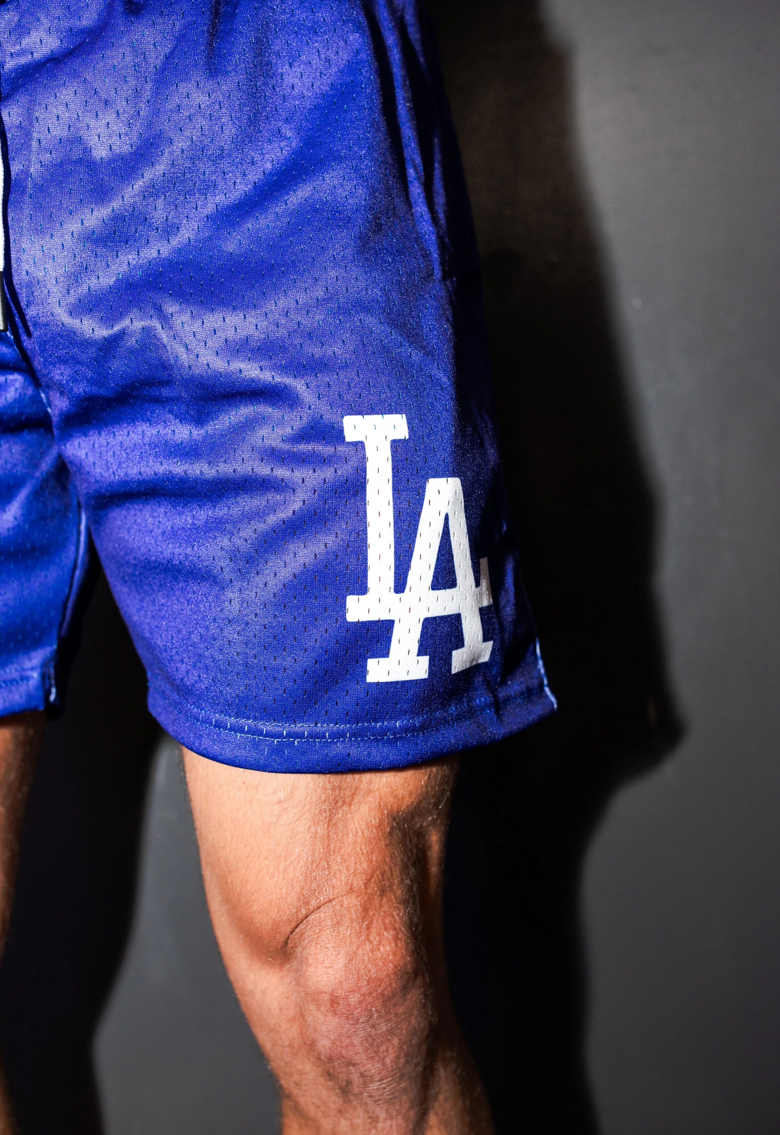 LA Doyer 5 inch Mesh Shorts