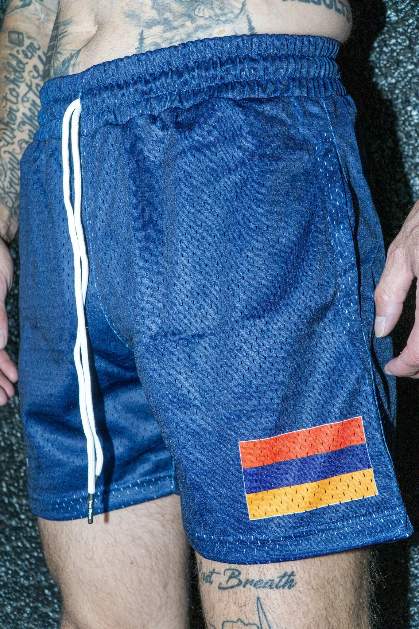 Armenia 5 Inch Mesh Shorts
