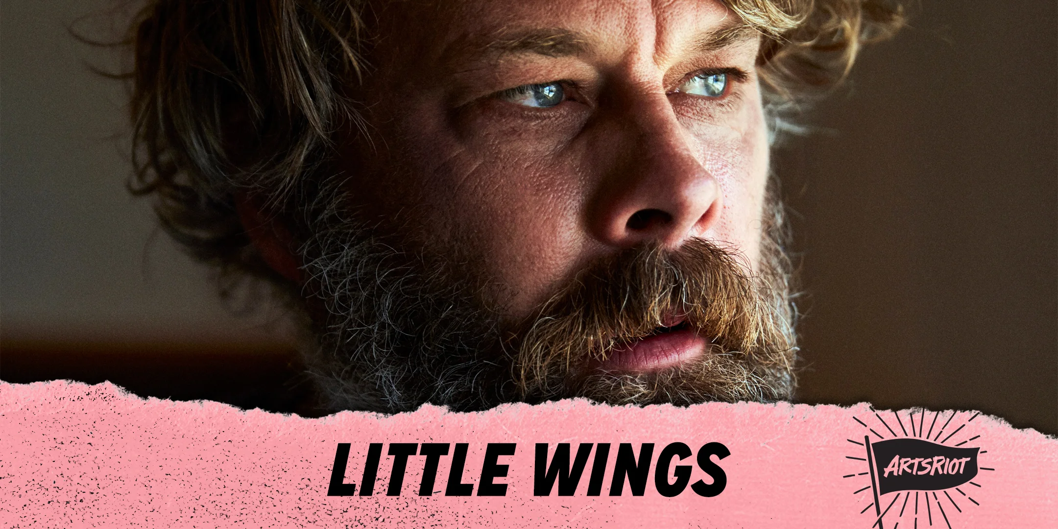 LittleWingsNewBanners.jpg