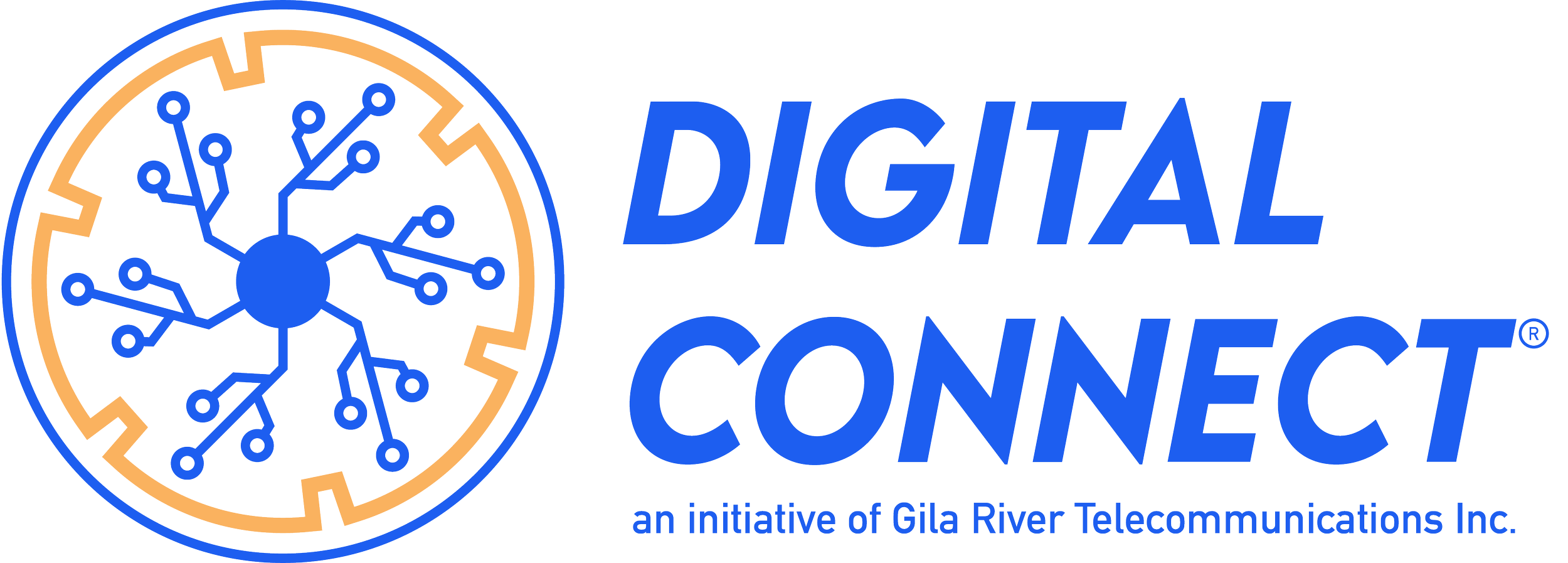 Digital Connect Initiative