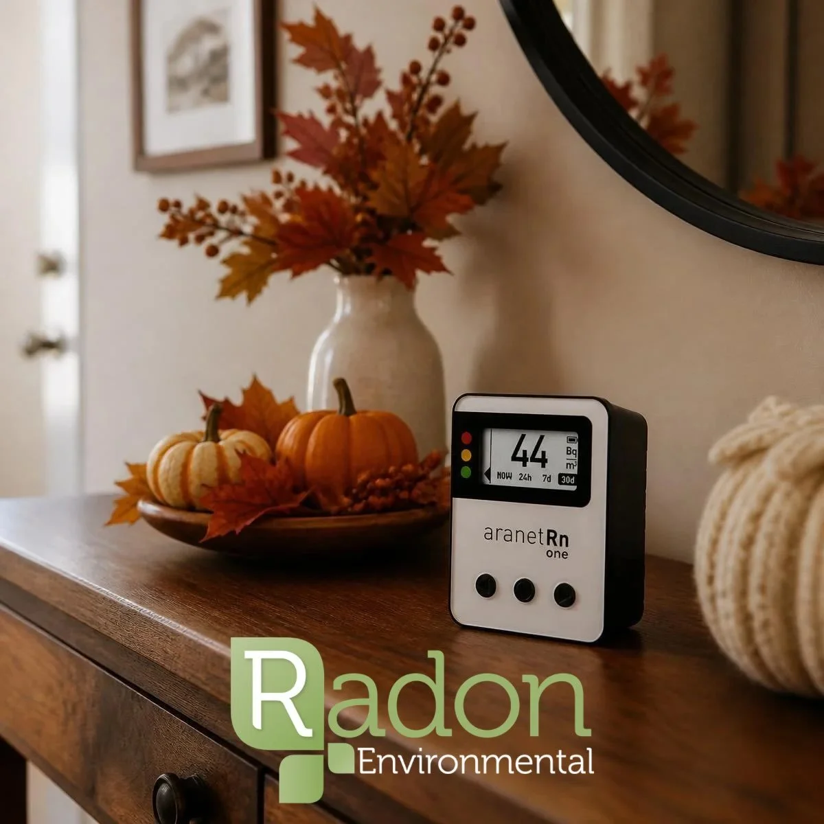 🌿 24/7 Monitoring
🌿  Real-time Display
🌿  First reading in 10 minutes, reliable reading in 1 hour.
🌿  Portable; use it in any building or home.
🌿  Battery-powered- no cables or wires
🌿  Optional: connect to Bluetooth app
🌿  No Wi-Fi required

