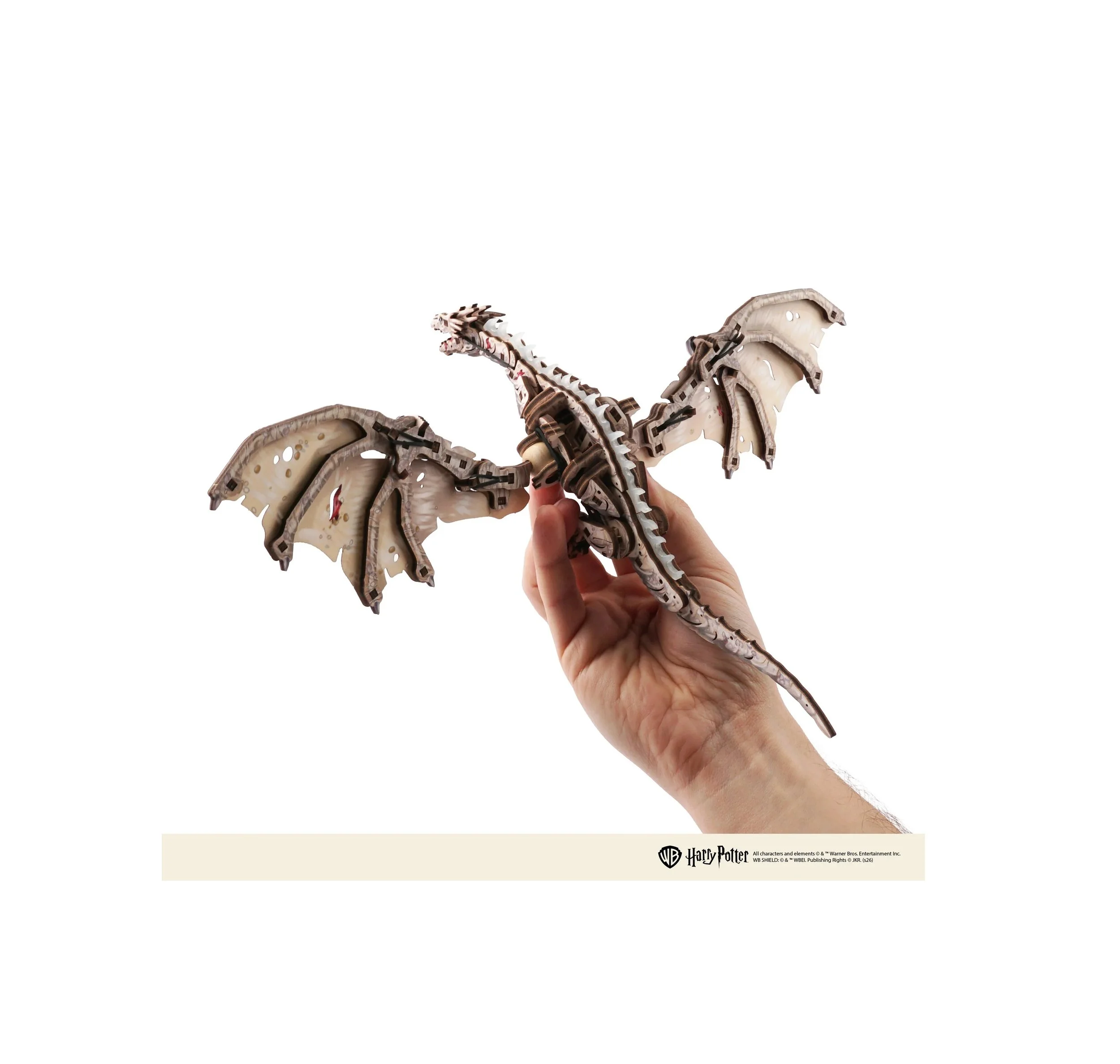 IronbellyDragon_ligal2.jpg