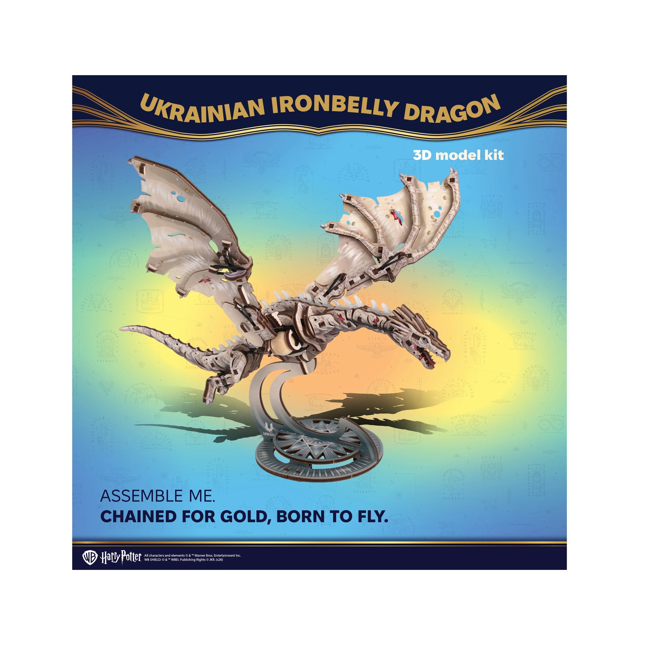 IronDragon_infografics.jpg (copia)
