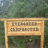 evergreen.jpg
