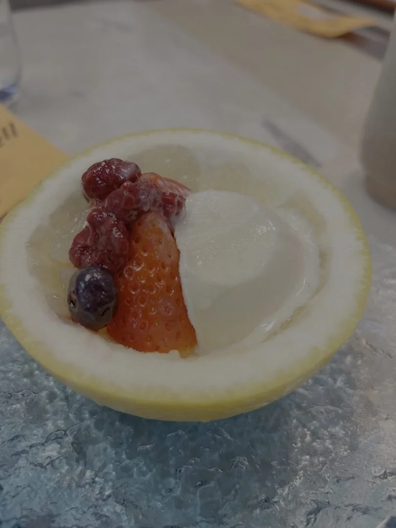 TCM-Japan food 2.jpg