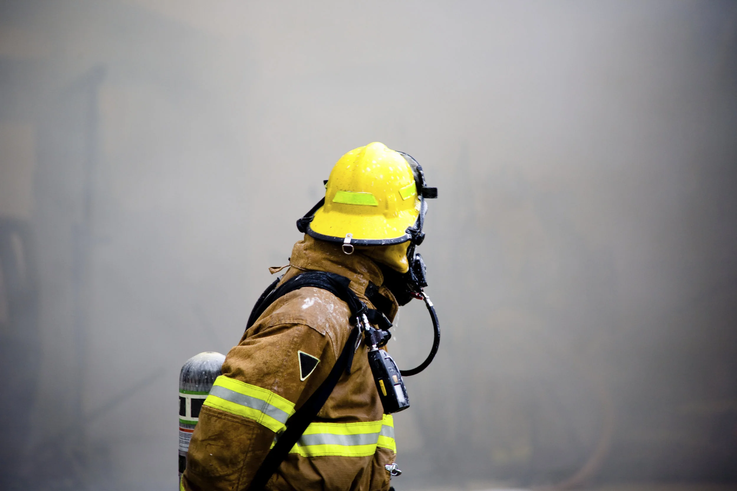 iStock_FF_LookingBack_4002710Large.jpg