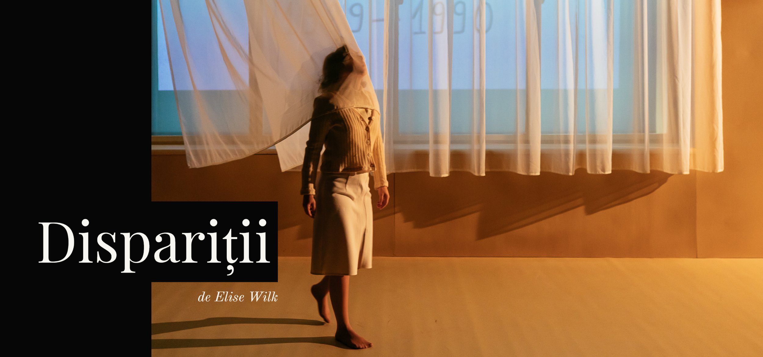 'DISPARIȚII' de Elise Wilk