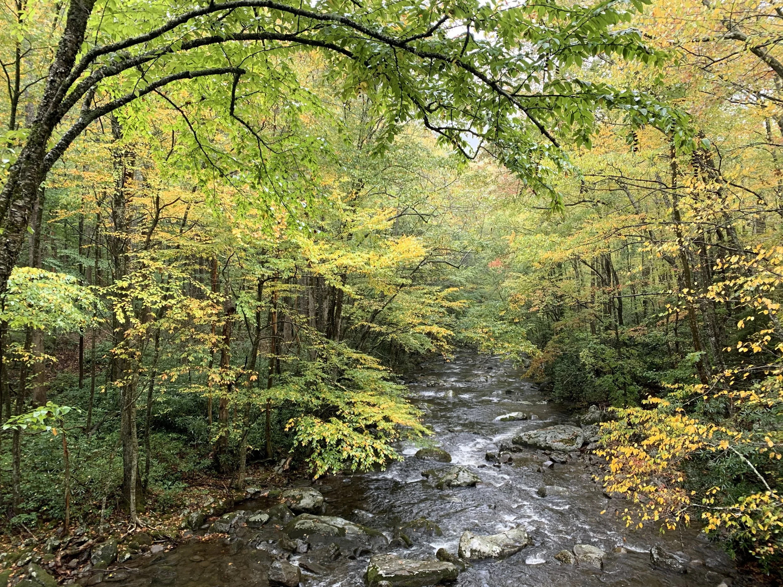 Smoky Mountains Getaway