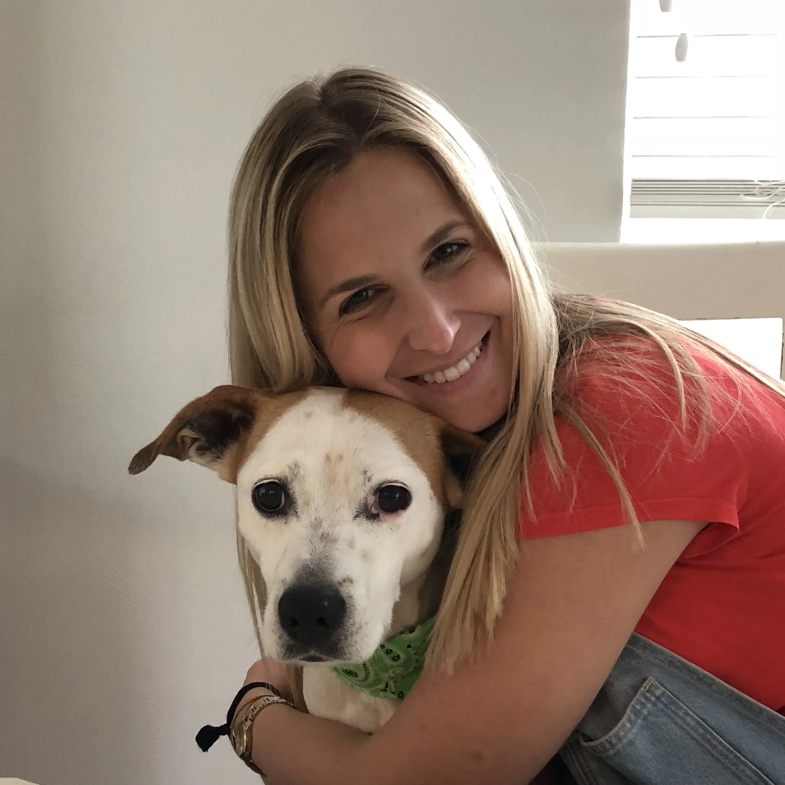 My Favorite Dog Products