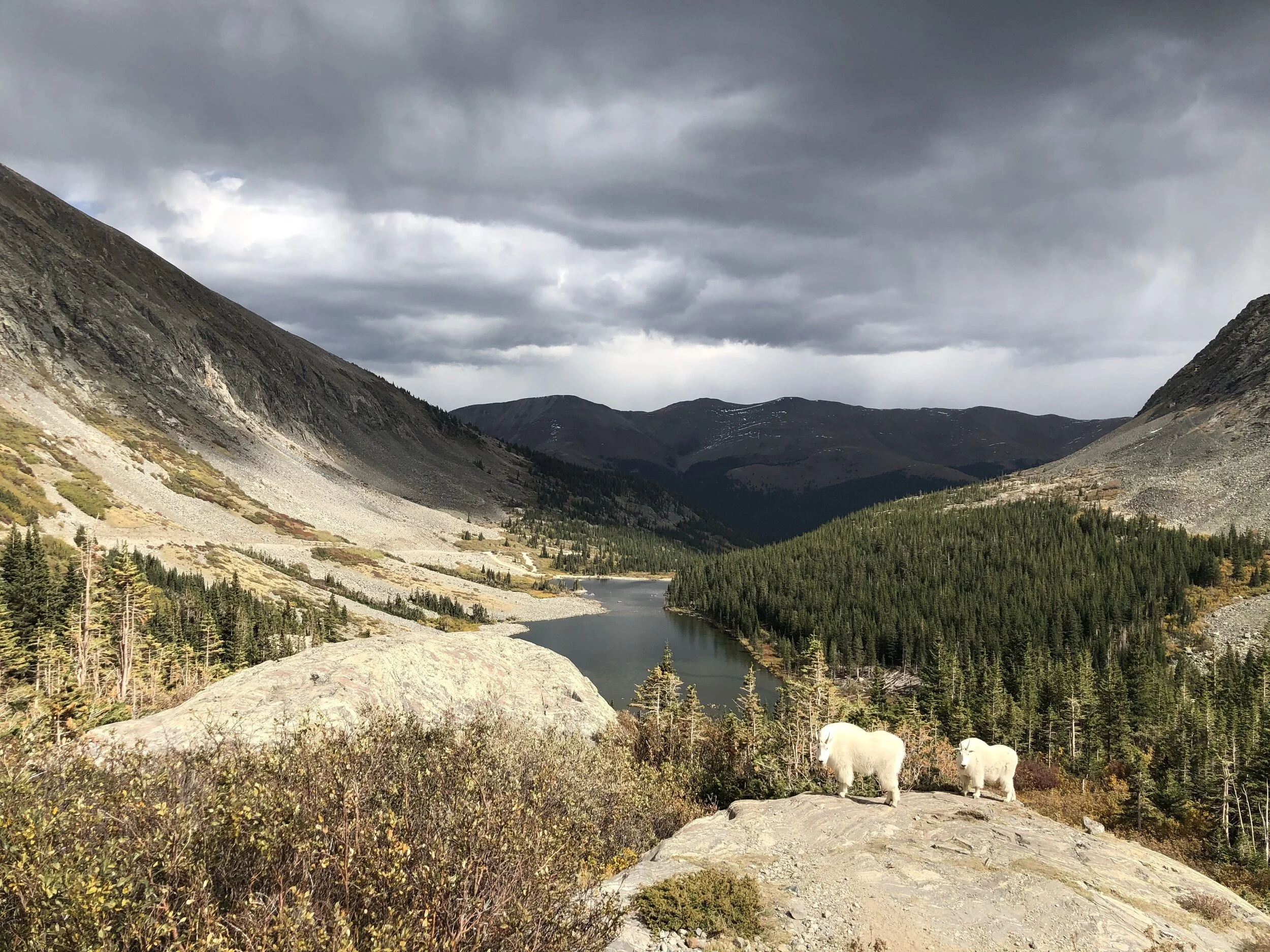 Dog-Friendly Road Trip to Breckenridge
