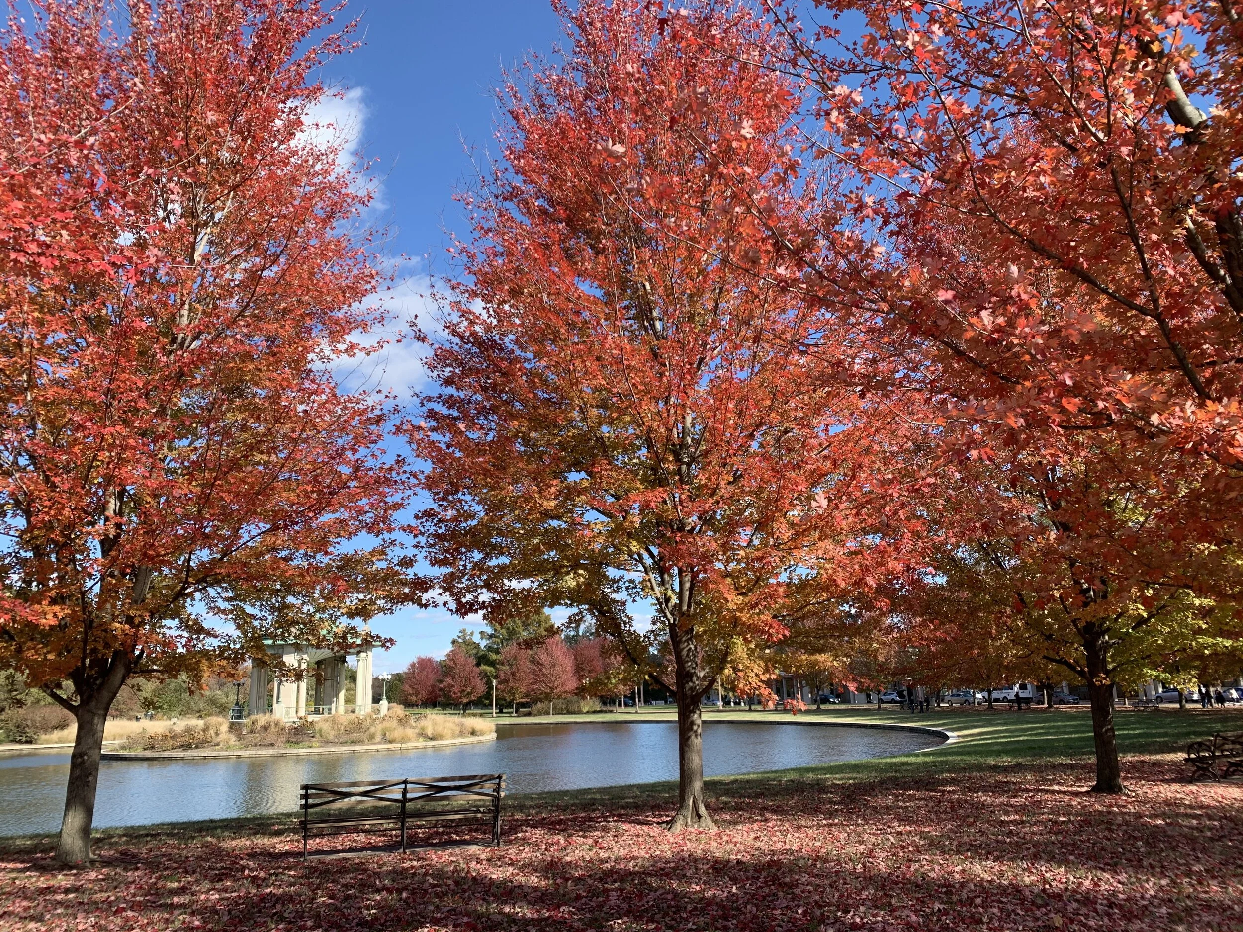 Beautiful St. Louis: My Favorite Fall Spots