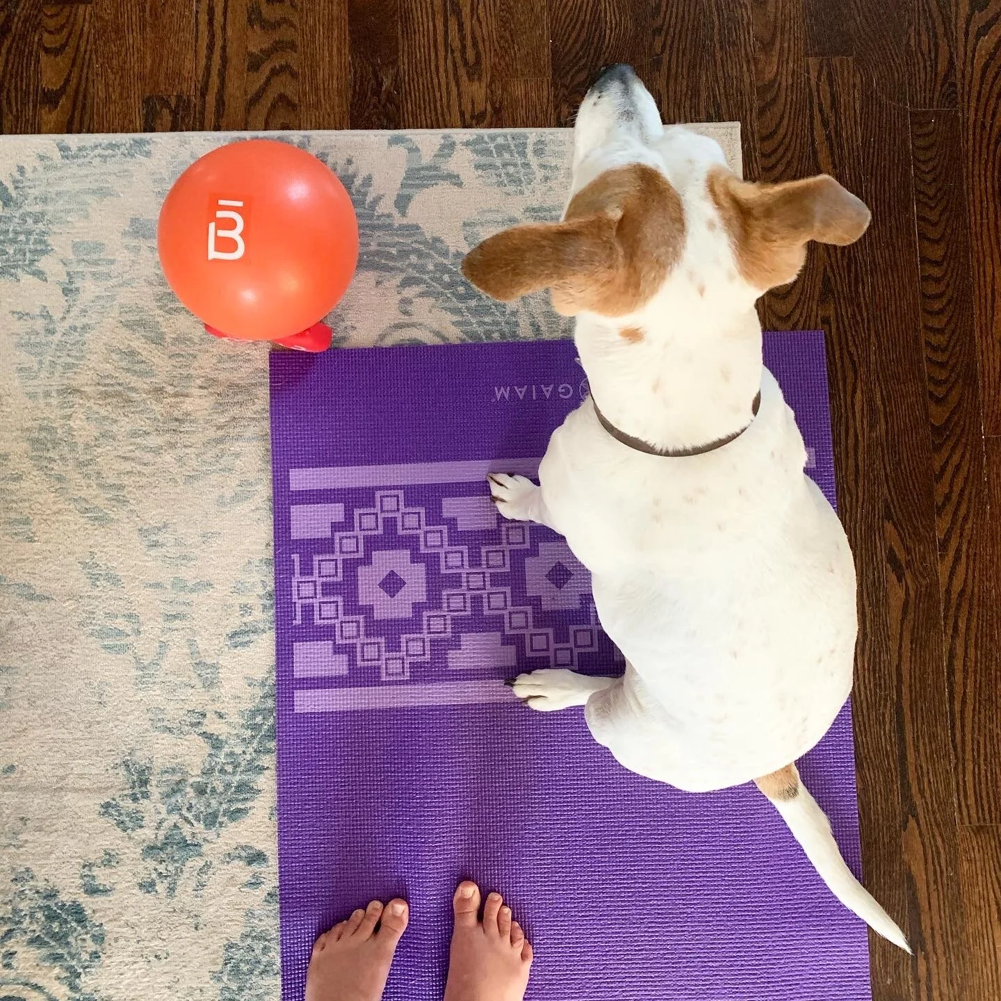 Tips for Working Out at Home