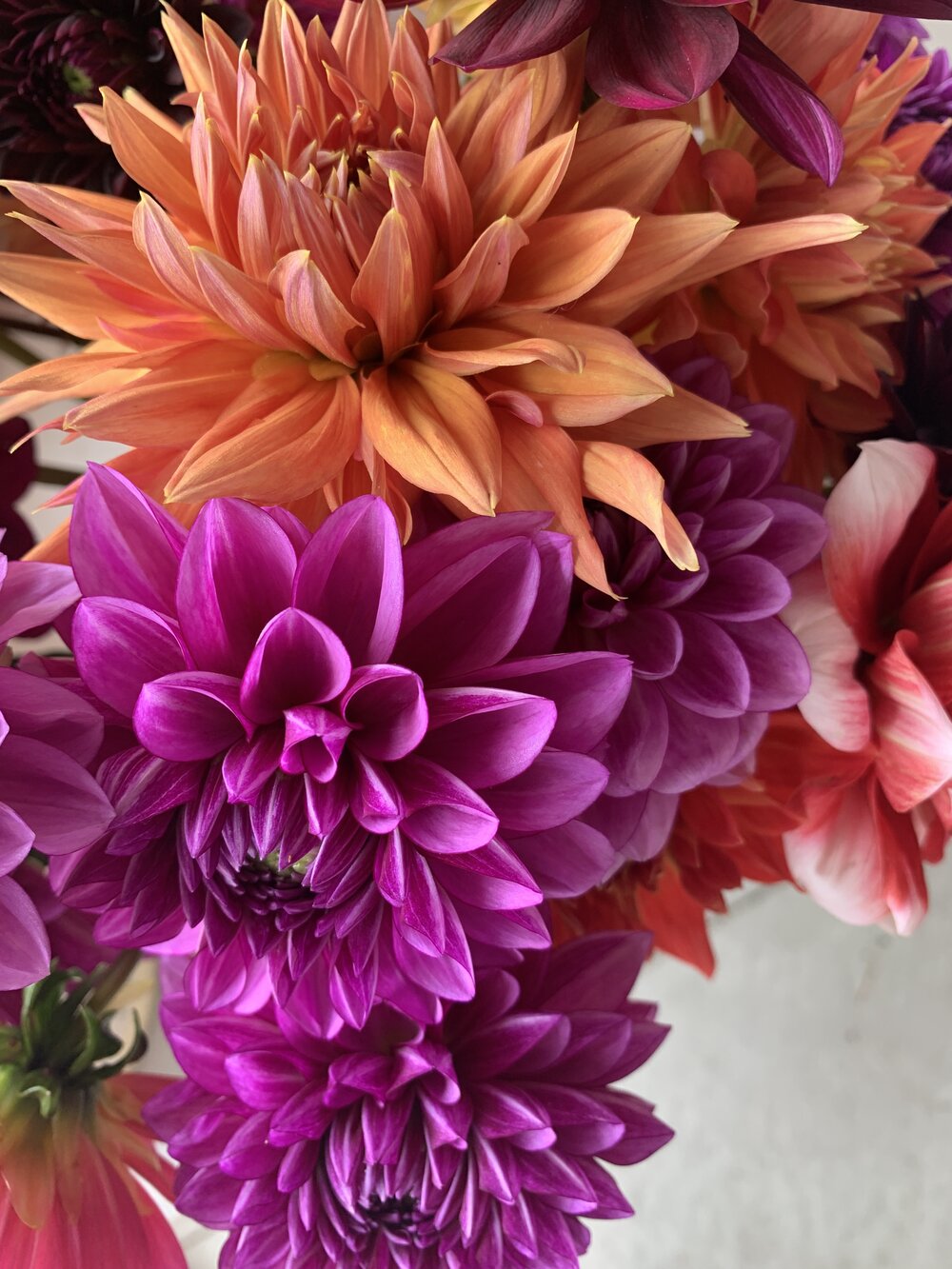 Beautiful Market Flowers