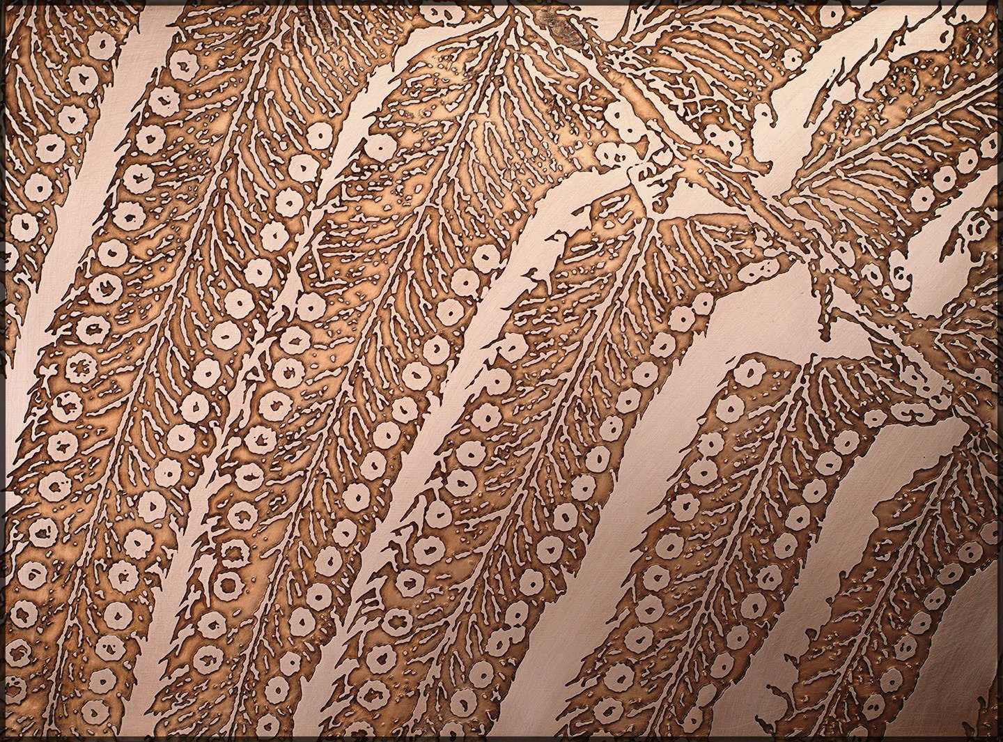 Etching for “Fern Spores”, ready to be enameled - darker areas have been etched to receive light enamels in the finished piece