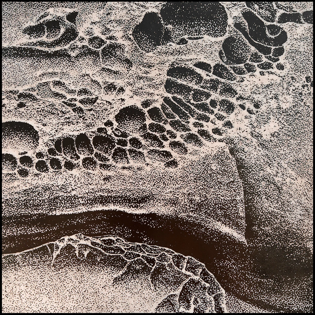 “Salt Point Tafoni #5”, champlevé enamel on copper, 8” x 8”