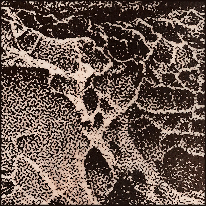 “Salt Point Tafoni #7”, detail