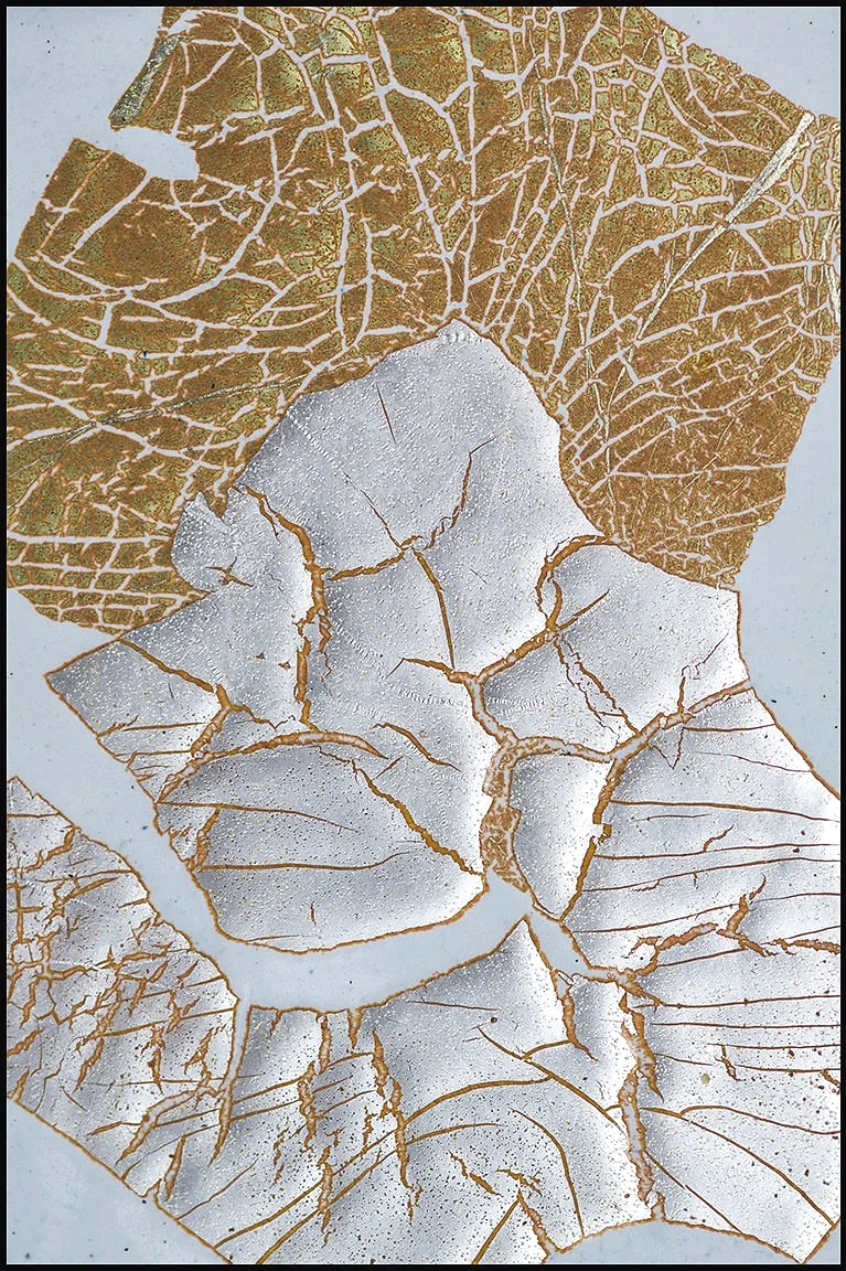Roberts-SilverGold-Foils-Enamels.jpg