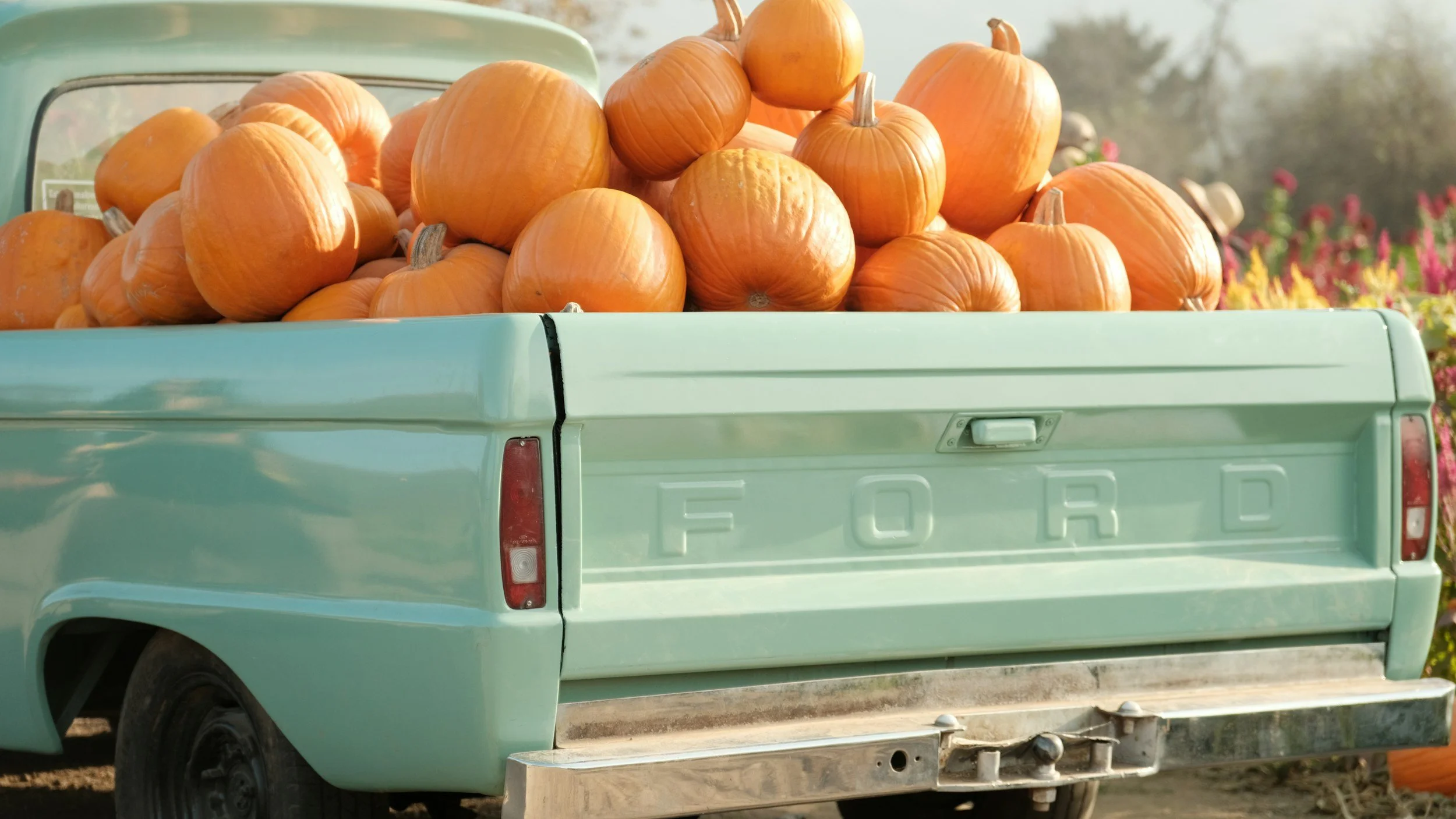 Gas Scores A Turkey As Prices At The Pump Drop For Third Month In A Row