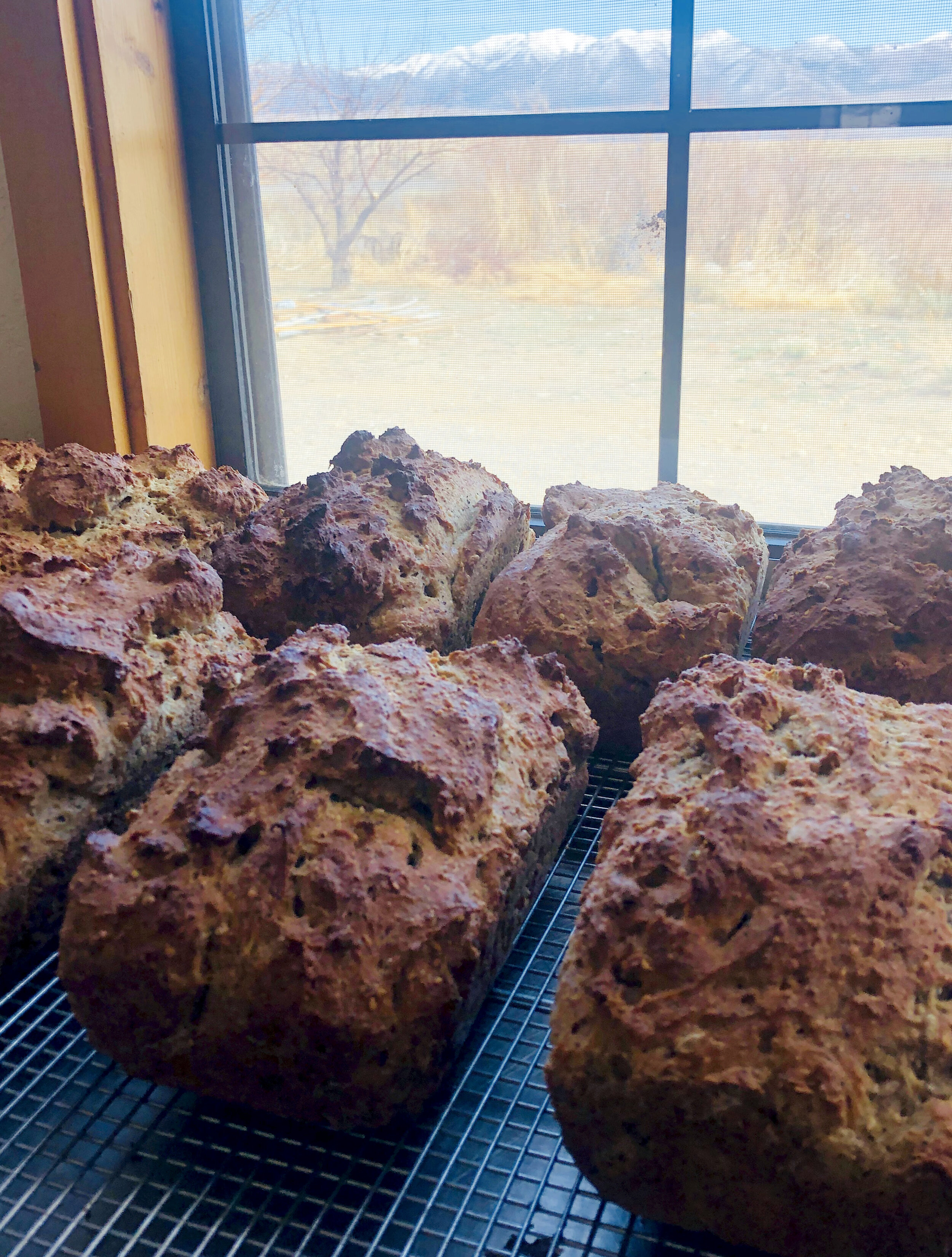 Gluten-Free Seed Bread