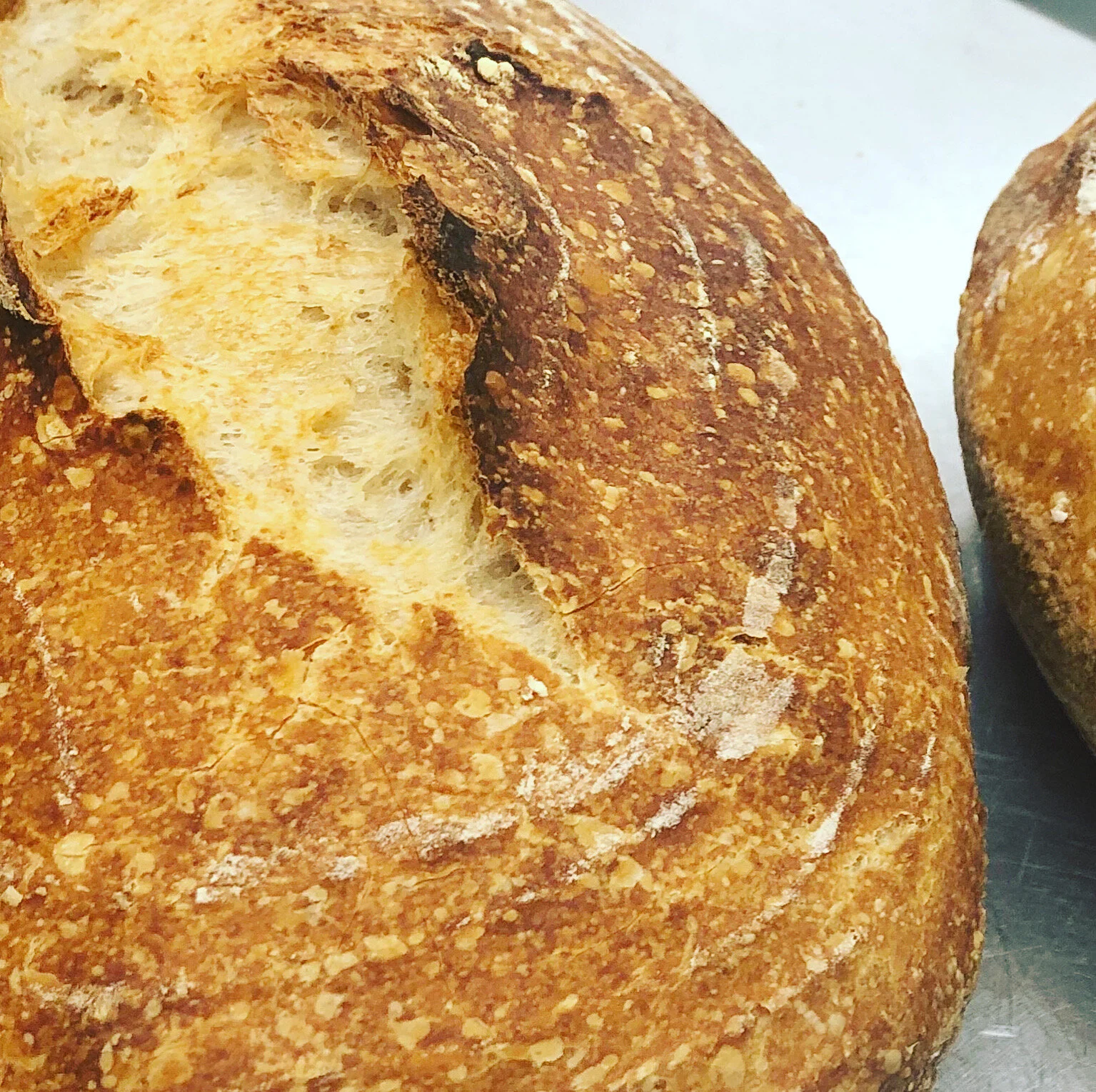 Organic Slow-fermented Sourdough Bread