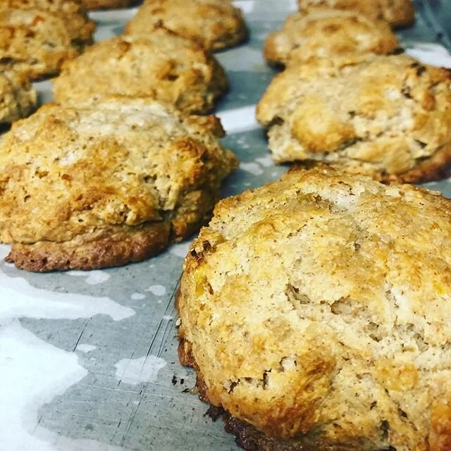 These ones have been in my head for some time now.. but TODAY they’ll be available at the bakery stand. Welcome to the real world Honey Apricot Scones