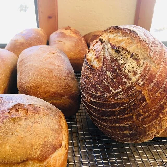 BREADLOVE happening!!.. If you missed today’s bake, we’ll be back at it Friday/Saturday..