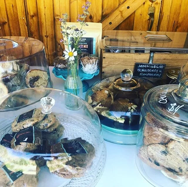 So many good things today!! Chocolate Chip Bundt/Orange Iced Date Cake/Raspberry Almond Muffins and more...